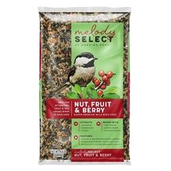 Melody Select 4.5lb Nut, Fruit & Berry Wild Bird Food - 086155040085