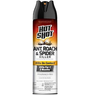 Hot Shot Ant, Roach And Spider Killer 17.5 Ounces, Unscented Aerosol Spray - 071121967800