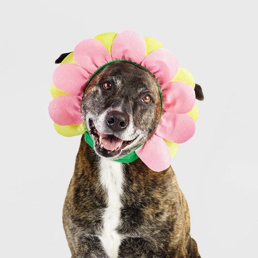 Halloween Flower Dog Headwear - S/M - - 042607814857