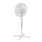 Holmes 16" Oscillating 3 Speed Manual Stand Fan White - 694501122134