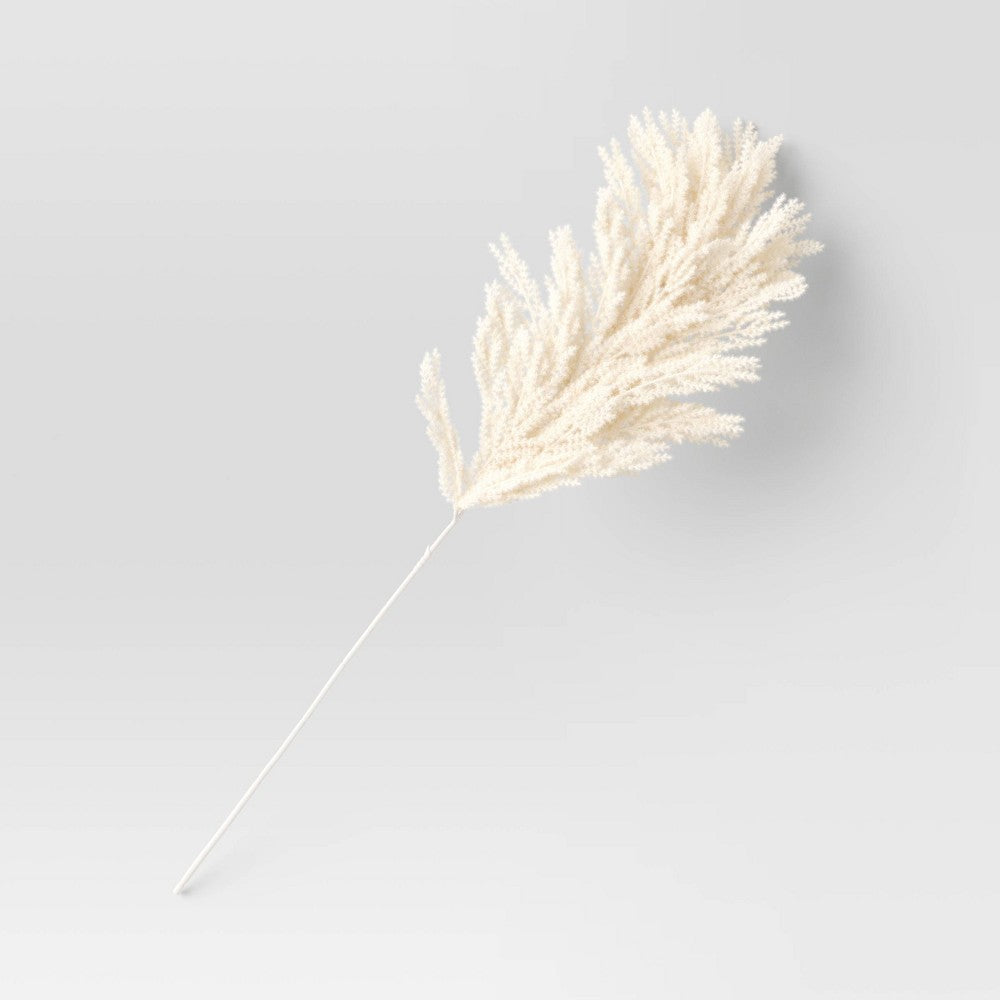 Extra Large Pampas Grass Branch Beige - 613571207480