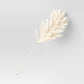 Extra Large Pampas Grass Branch Beige - 613571207480