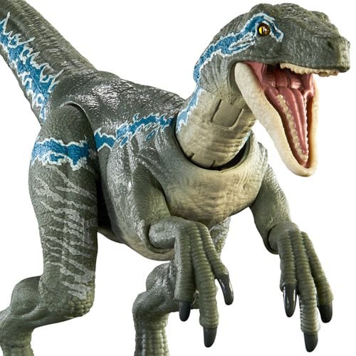 Jurassic World Hammond Collection Velociraptor Blue Action Figure - 194735197811