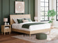 Cielden King Panel Bed with Mirrored Dresser, Chest and Nightstand